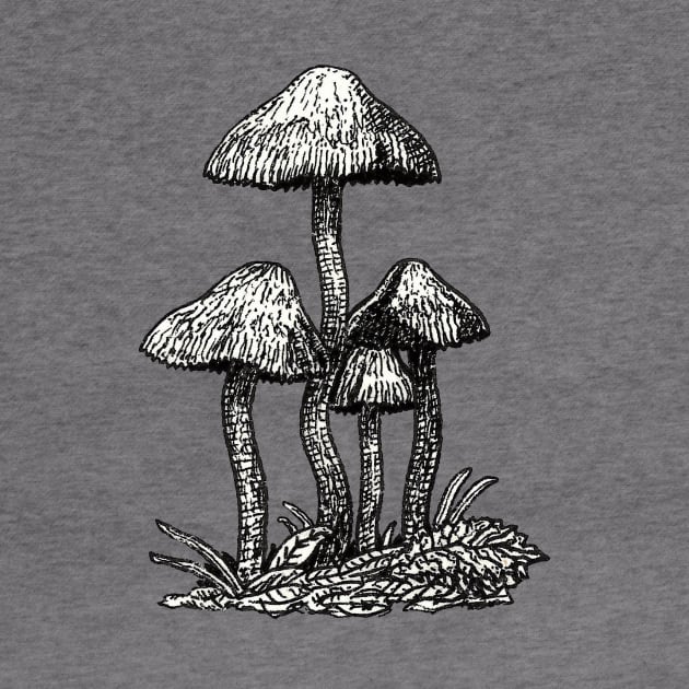 Wild mushrooms by Bioshart